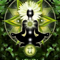 Heart Chakra or Anahata | All You Need to Know