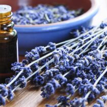 A Guide to Essential Oil Dilution