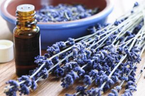 Lavender with aromatherapy bottle for essential oil dilution