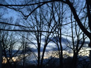 Bare winter trees for ways to promote spiritual growth during the winter