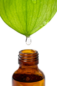 Leaf dropping oil into bottle for essential oil botanical names