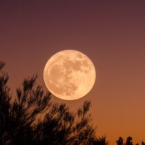 A Guide to Moon Energy | The Meaning of Moon Phases